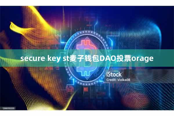 secure key st麦子钱包DAO投票orage