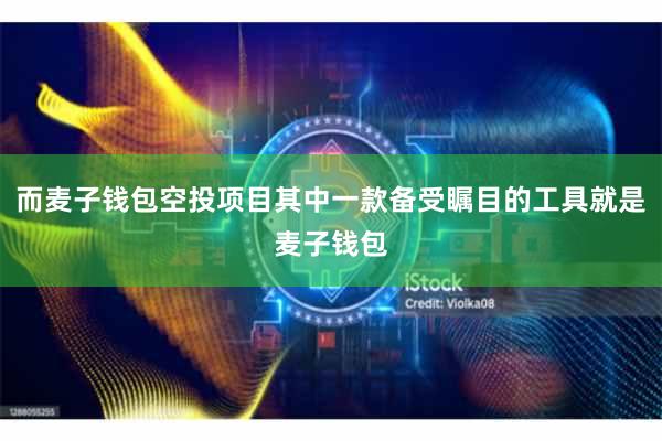 而麦子钱包空投项目其中一款备受瞩目的工具就是麦子钱包