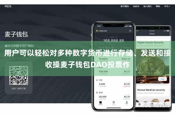 用户可以轻松对多种数字货币进行存储、发送和接收操麦子钱包DAO投票作