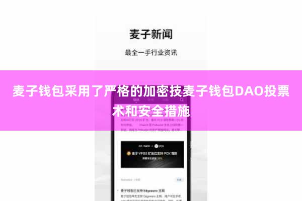 麦子钱包采用了严格的加密技麦子钱包DAO投票术和安全措施