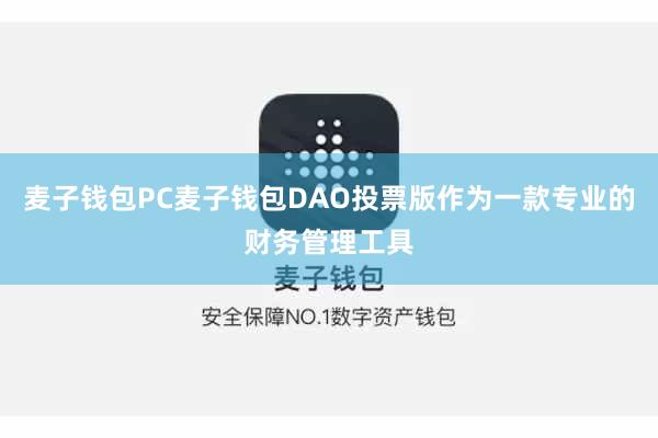 麦子钱包PC麦子钱包DAO投票版作为一款专业的财务管理工具