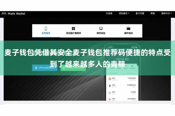 麦子钱包凭借其安全麦子钱包推荐码便捷的特点受到了越来越多人的青睐