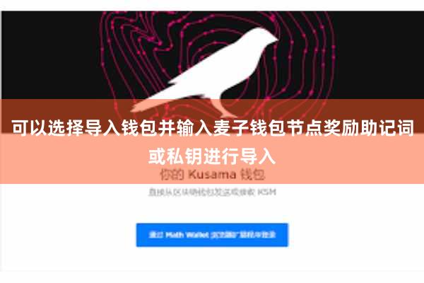 可以选择导入钱包并输入麦子钱包节点奖励助记词或私钥进行导入