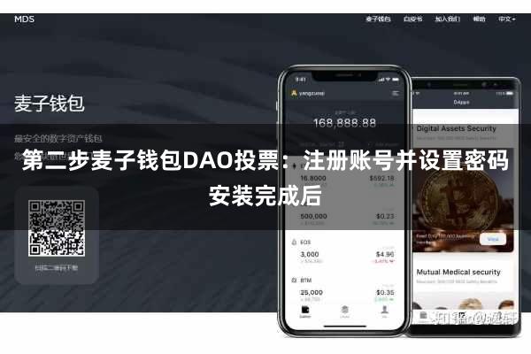 第二步麦子钱包DAO投票:注册账号并设置密码安装完成后
