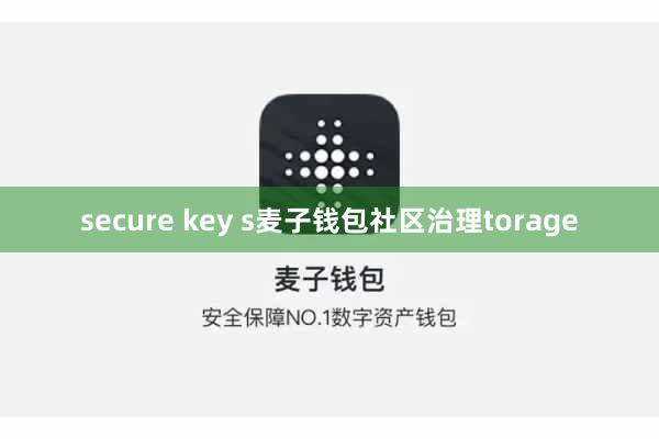 secure key s麦子钱包社区治理torage