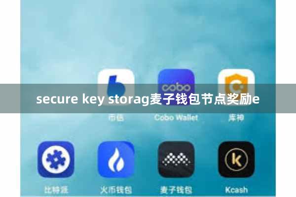 secure key storag麦子钱包节点奖励e