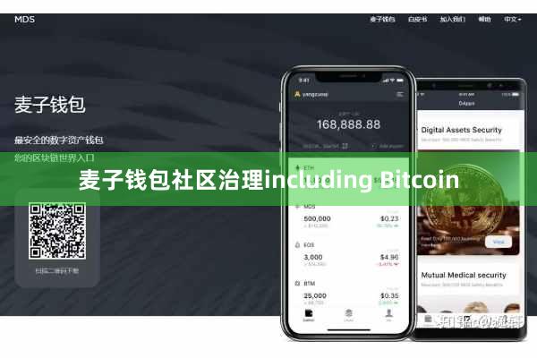 麦子钱包社区治理including Bitcoin