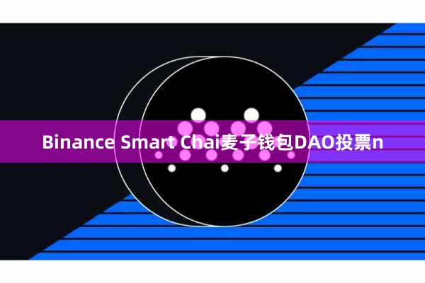 Binance Smart Chai麦子钱包DAO投票n