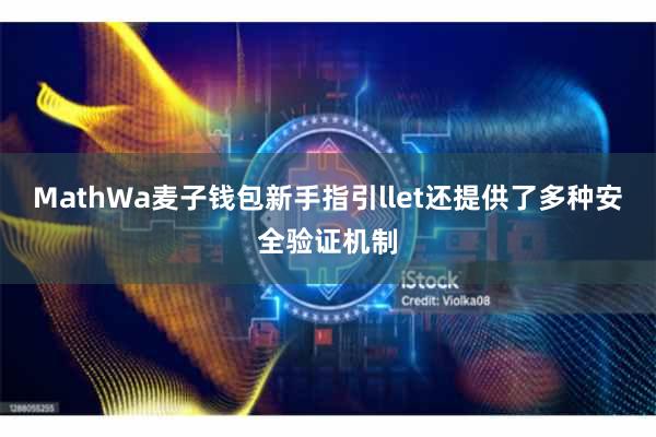 MathWa麦子钱包新手指引llet还提供了多种安全验证机制