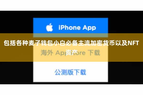 包括各种麦子钱包小白必备主流加密货币以及NFT资产