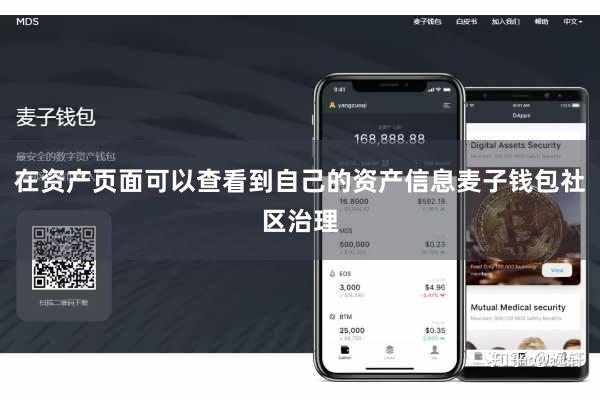 在资产页面可以查看到自己的资产信息麦子钱包社区治理