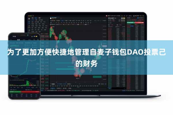 为了更加方便快捷地管理自麦子钱包DAO投票己的财务