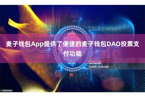 麦子钱包App提供了便捷的麦子钱包DAO投票支付功能