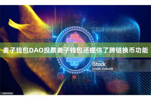 麦子钱包DAO投票麦子钱包还提供了跨链换币功能