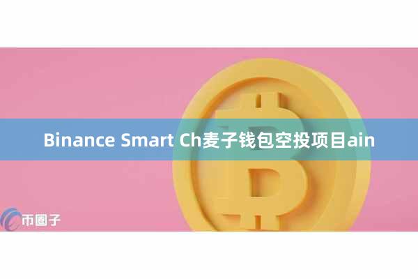 Binance Smart Ch麦子钱包空投项目ain