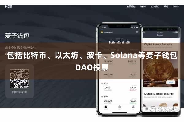 包括比特币、以太坊、波卡、Solana等麦子钱包DAO投票