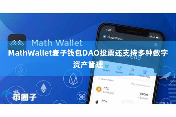 MathWallet麦子钱包DAO投票还支持多种数字资产管理